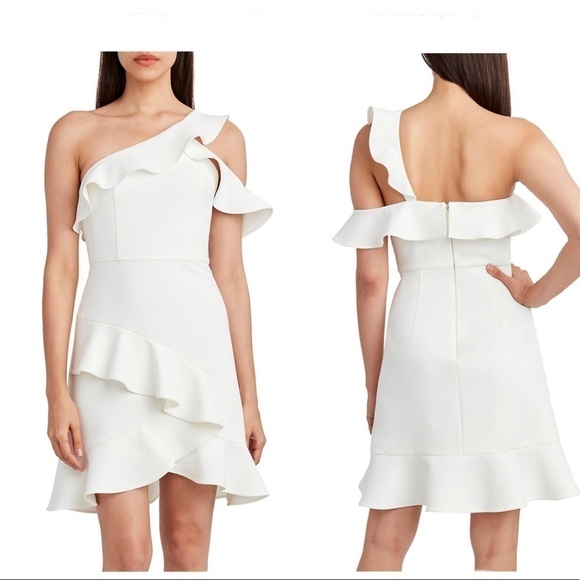 BCBGMAXAZRIA Malik Asymmetrical Sleeve Dress - Picture 1 of 13